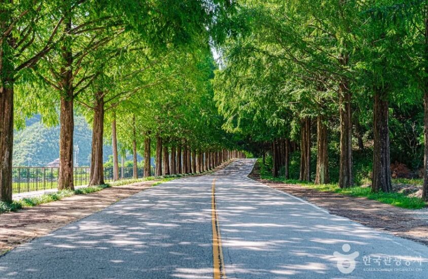 진안 가볼만한곳 베스트 10