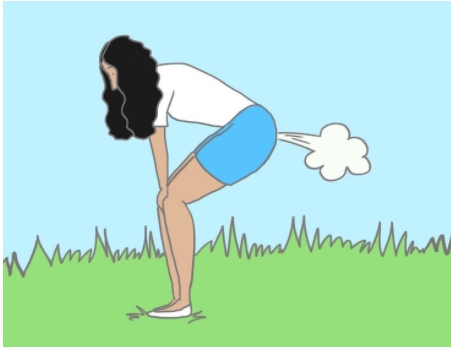 방귀가 자주 나오는 증상