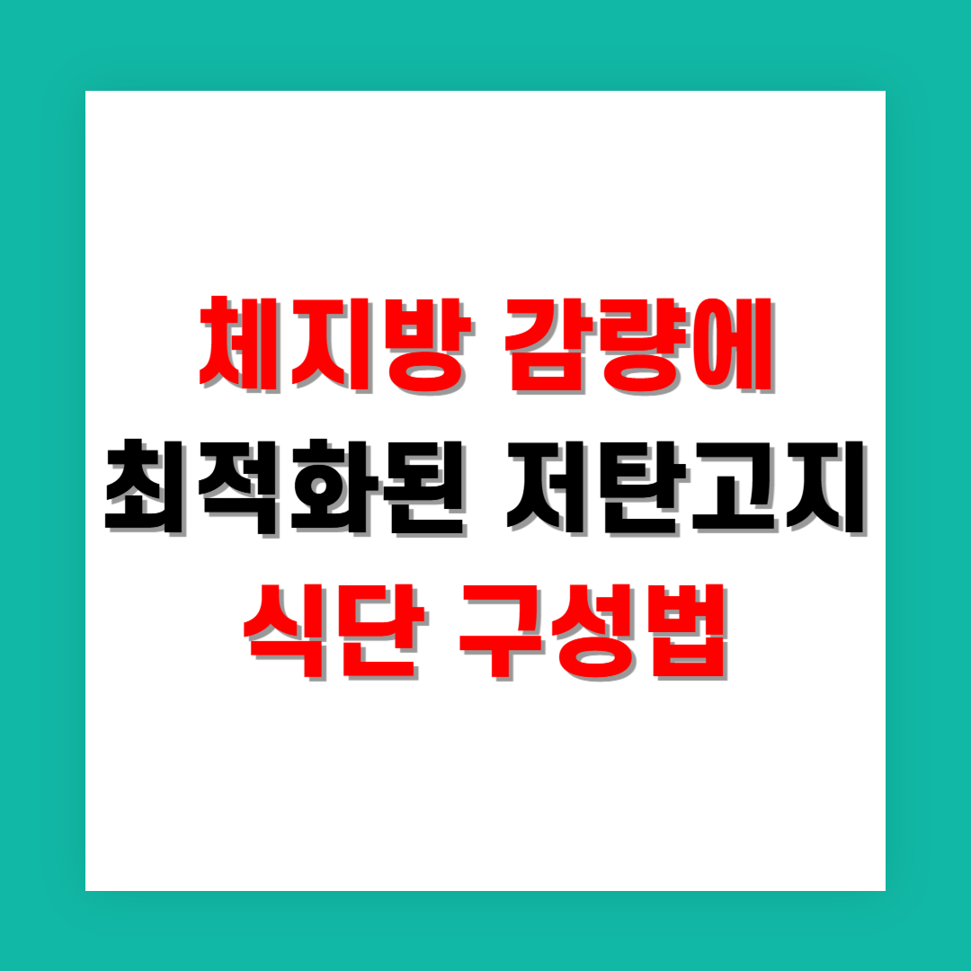 체지방 감량에 최적화된 저탄고지 식단 구성법