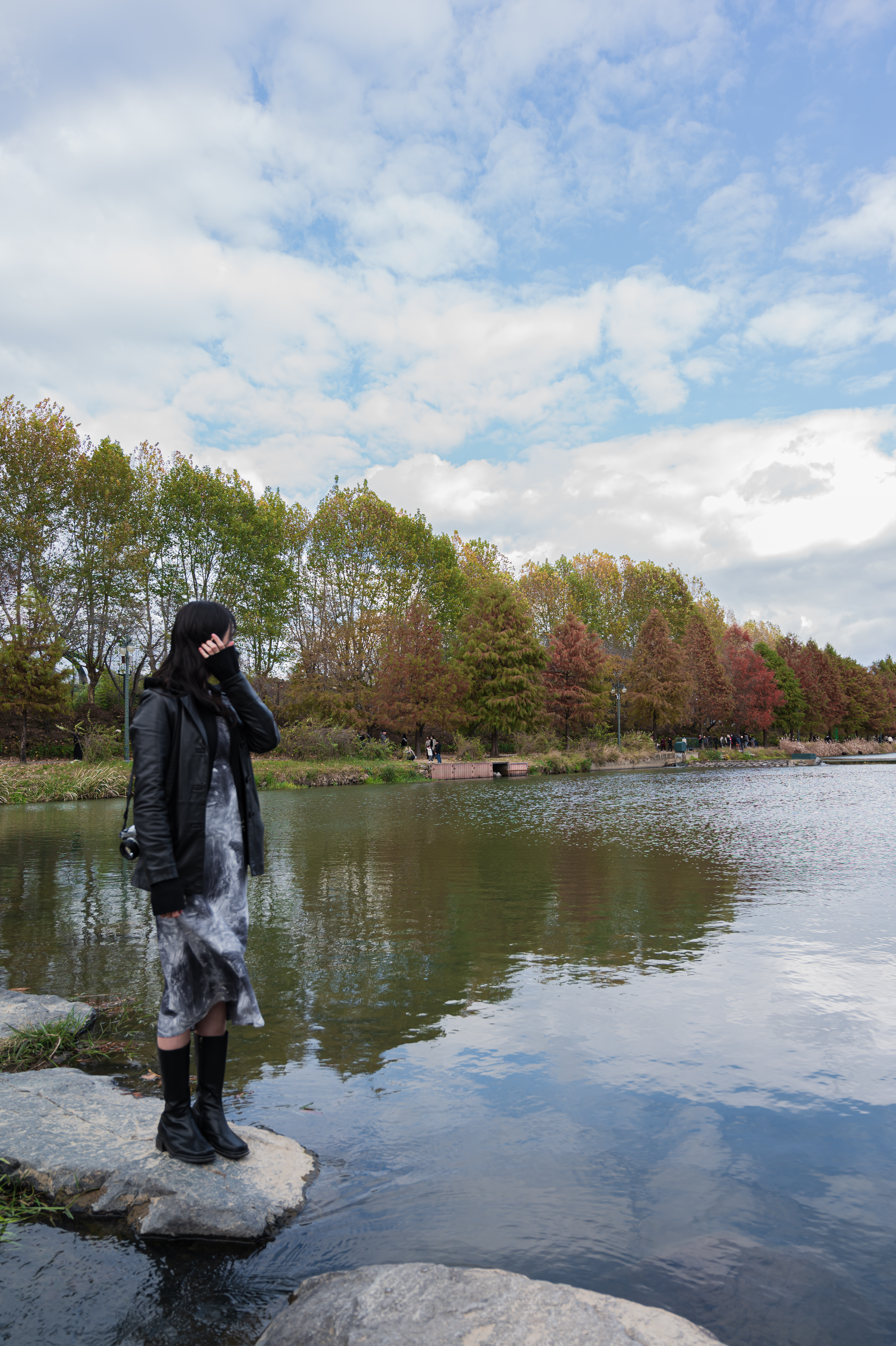 ๋ด์ ๊ด๋ฐฉ์ ๋ฆผ