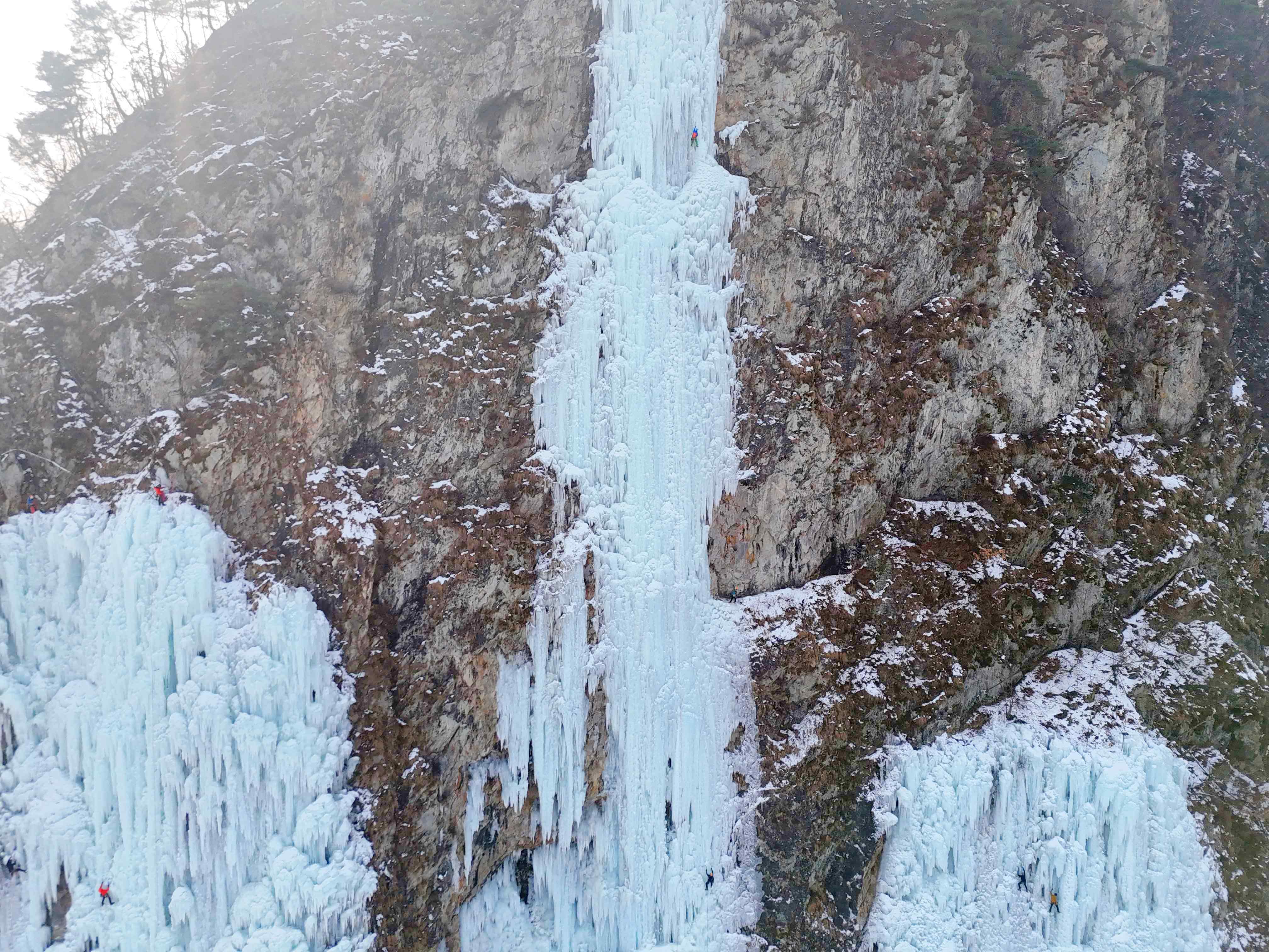 판대아이스파크