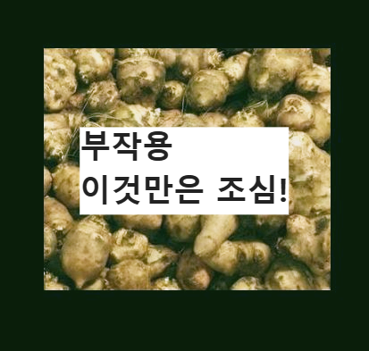 돼지감자