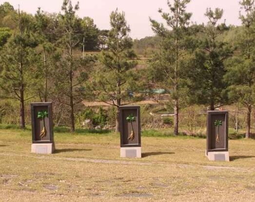 금산 가볼만한곳 베스트 10
