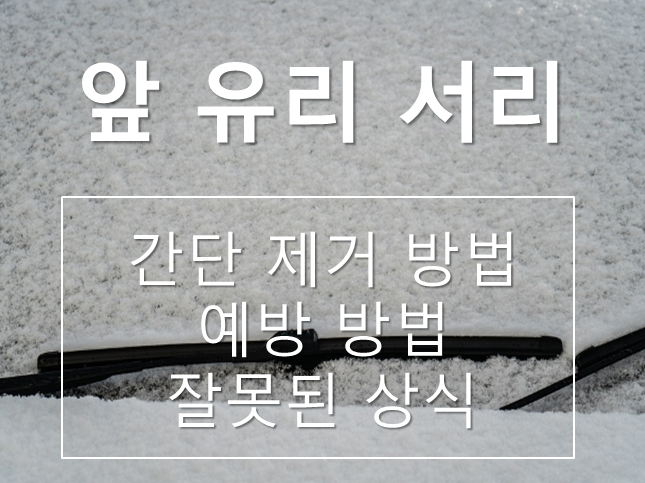앞유리-성에-제거방법