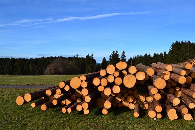 산업안전보건기준에 관한 규칙 제19조 제20조(출입의 금지 등)