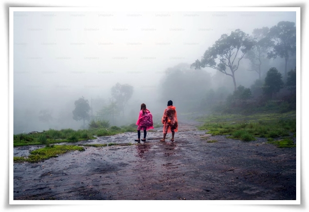 웰빙 &quot;2025년 장마&quot; 폭염과 폭우? 기상청 전망부터 대비까지 총 정리!