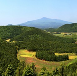 한라산 백록샘 사전 예약 방법