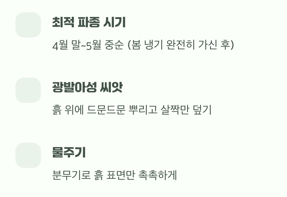 반짝이는 보석, 씨앗 심기