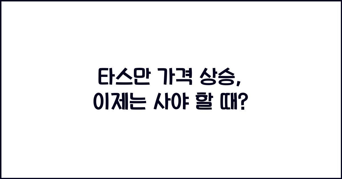 타스만 가격