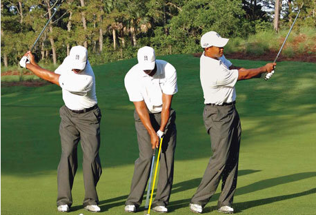 골프스윙의 구분동작