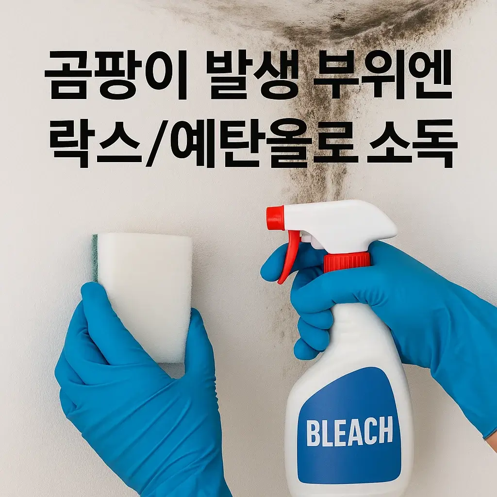 곰팡이 진드기 퇴치법