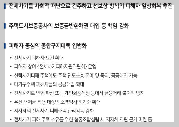 전세사기를 사회적 재난으로 간주하고 선보상 방식의 피해자 일상회복 추진