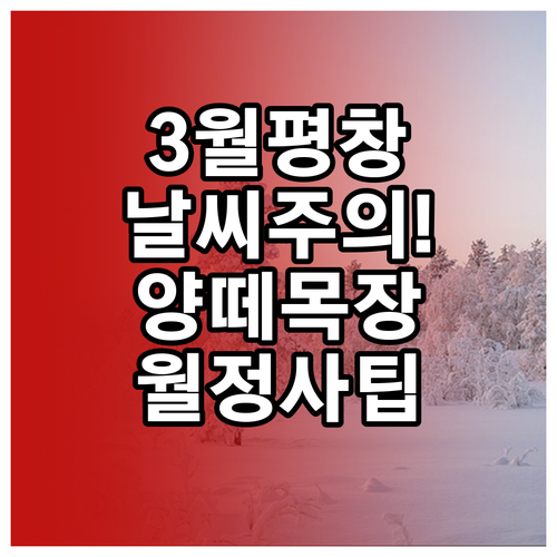3월 평창 여행 날씨 대비 옷차림과 ..