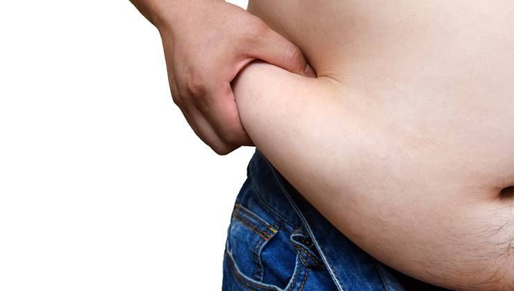 복부 지방의 모습