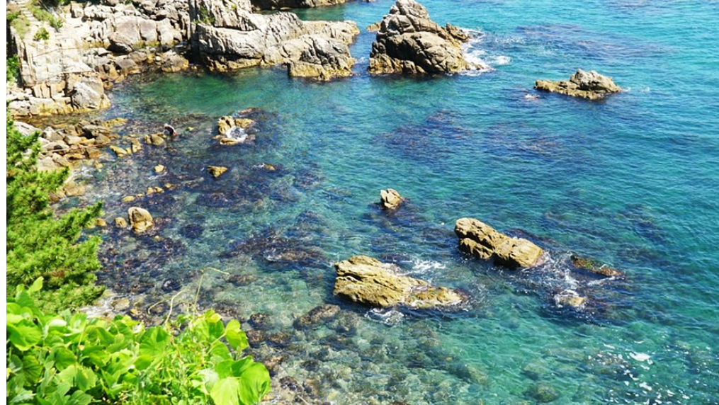 겨울바다의 낭만을 느낄 수 있는 동해안 드라이브 여행 코스