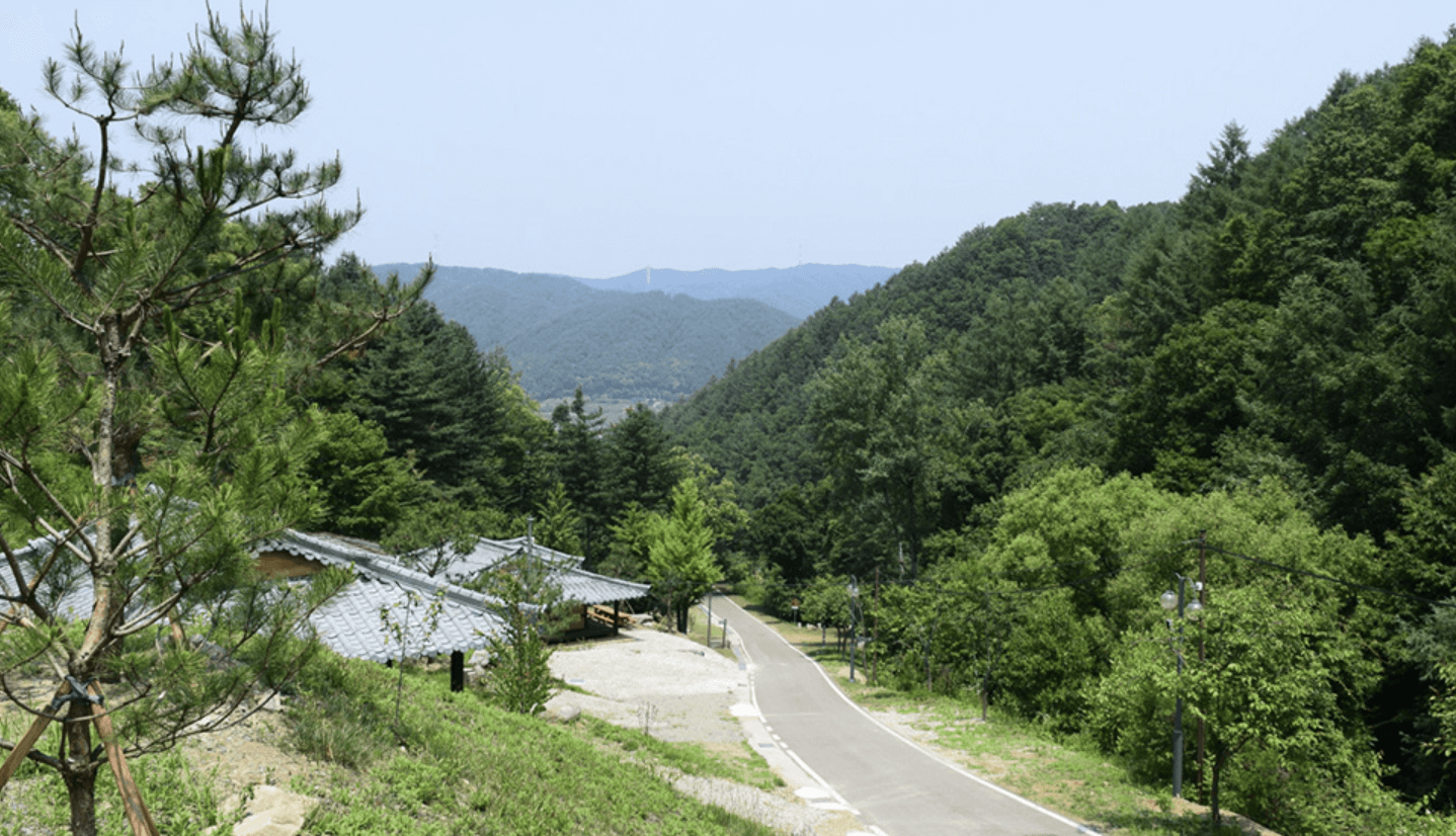 양평 남겨서 뭐 하게 맑은숲캠프