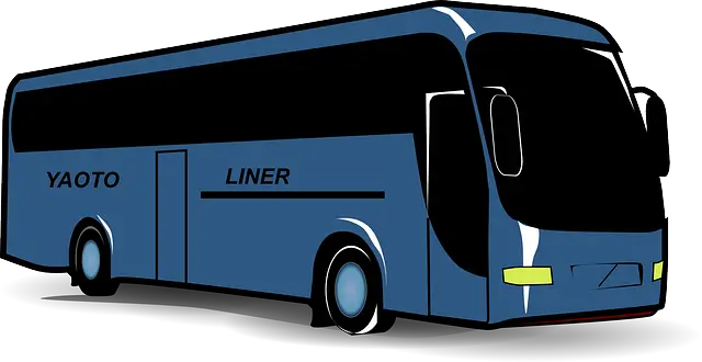 버스 전용차로 위반 범칙금 &amp; 과태료 총정리