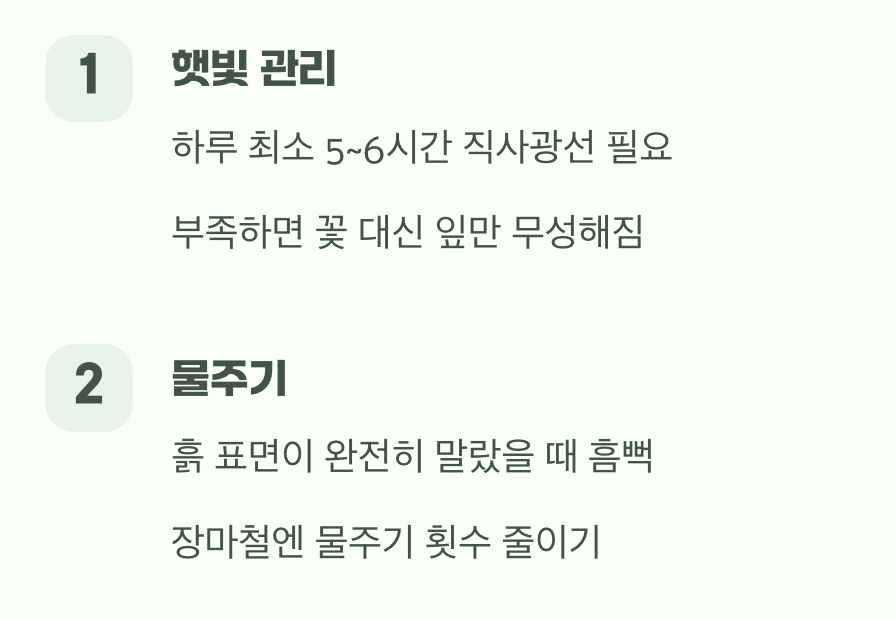 햇살은 듬뿍, 물은 마를 때만