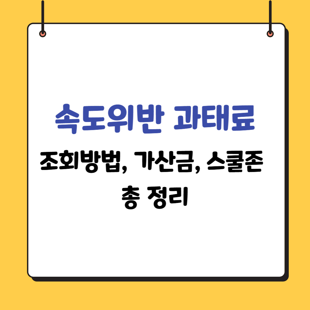 속도위반-과태료