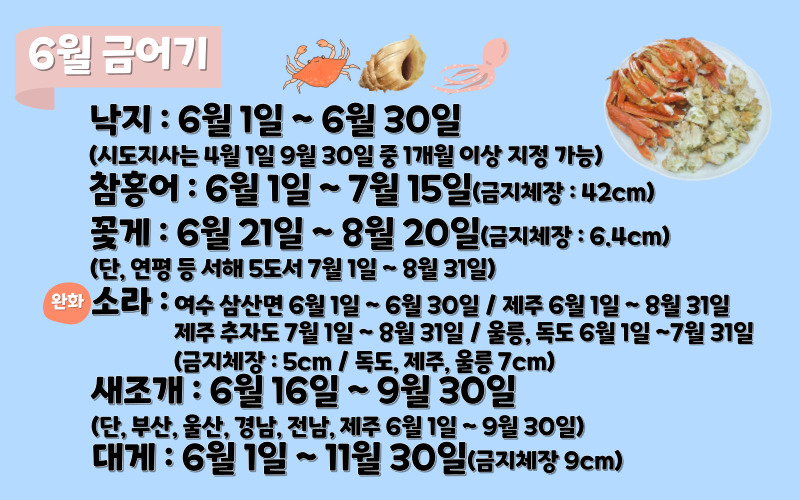 금어기4