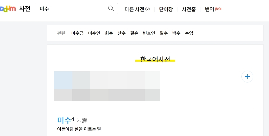 포털 사이트 검색 결과 화면에 나타난 다양한 단어의 정의