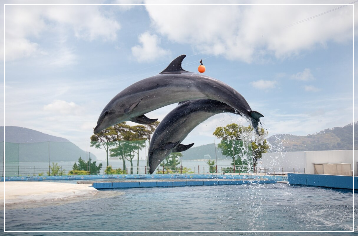거제도 가볼만한곳 베스트10 거재씨월드