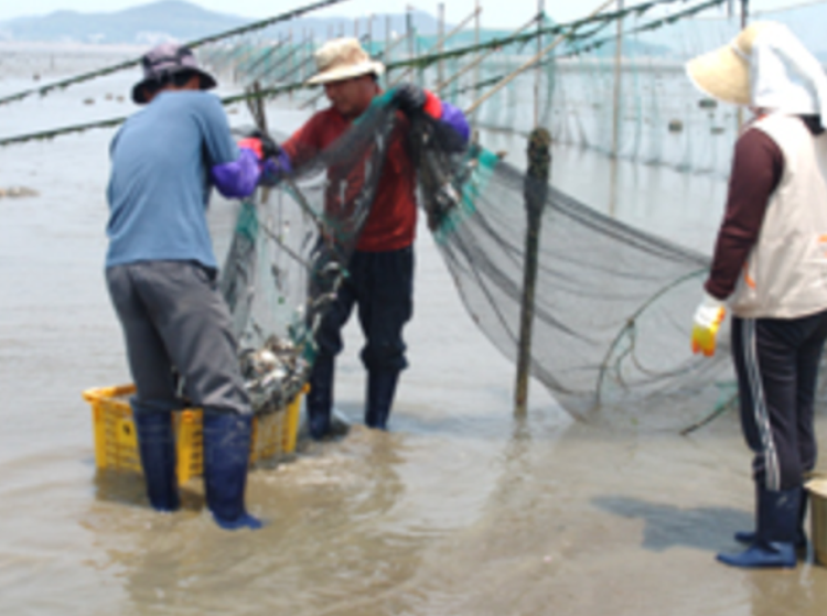 제부랜드 레저체험