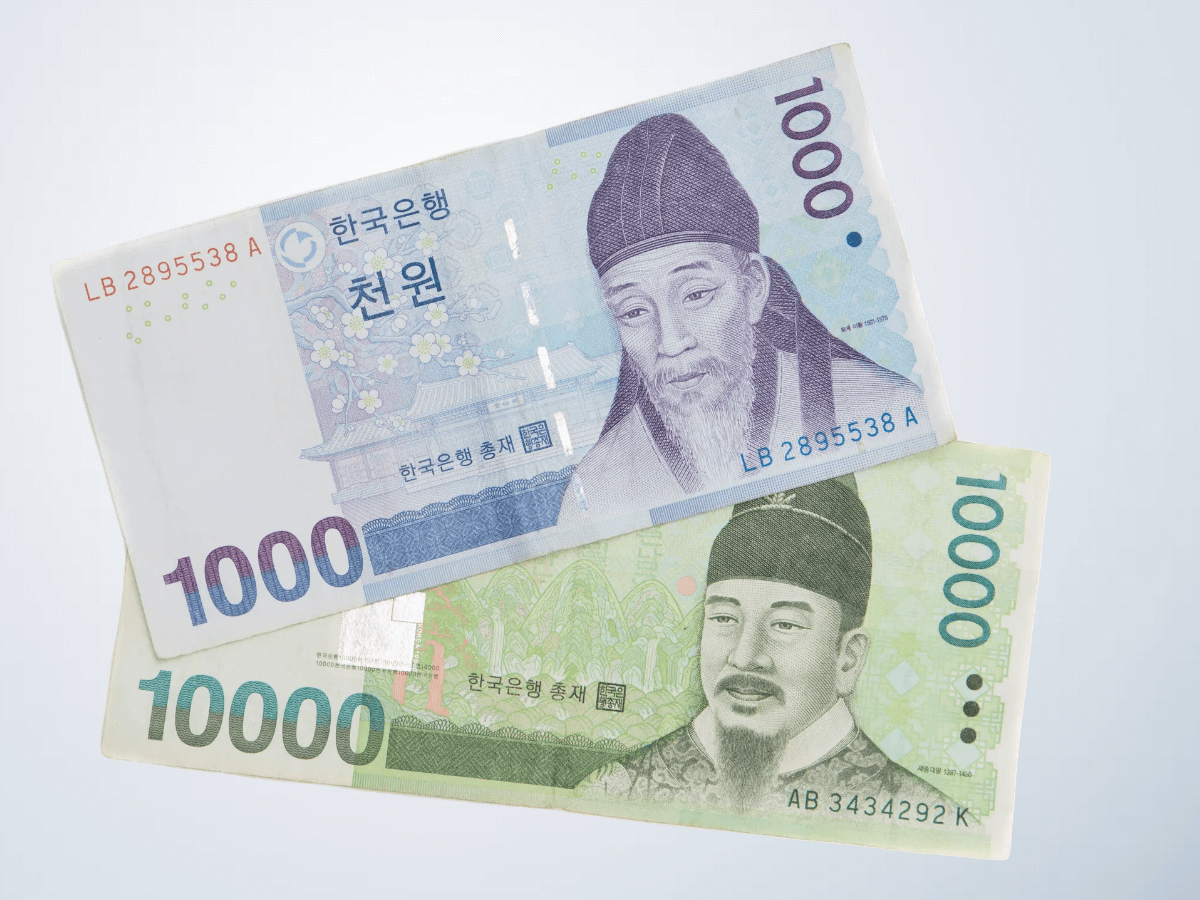 미환급금 조회 전 주의사항