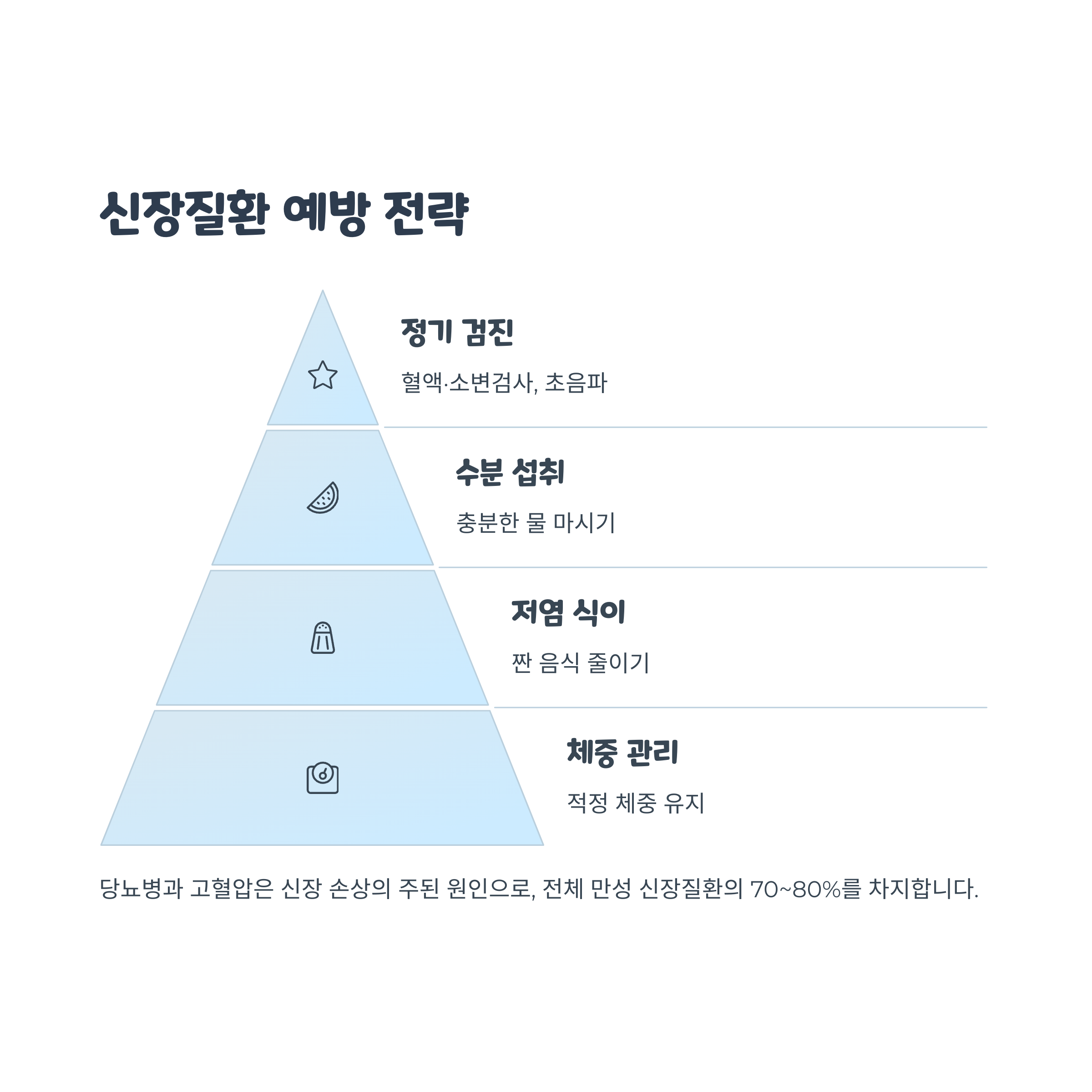 신장질환의 주요 원인과 예방 전략