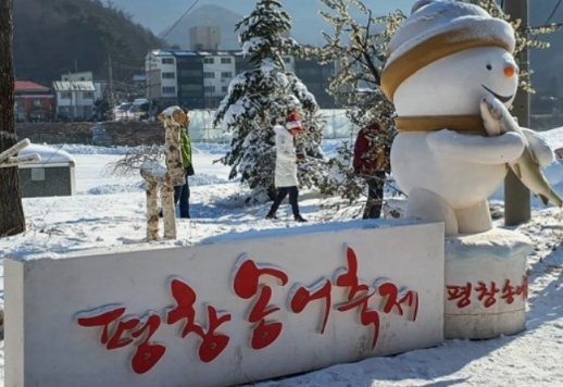 평창송어축제-비용