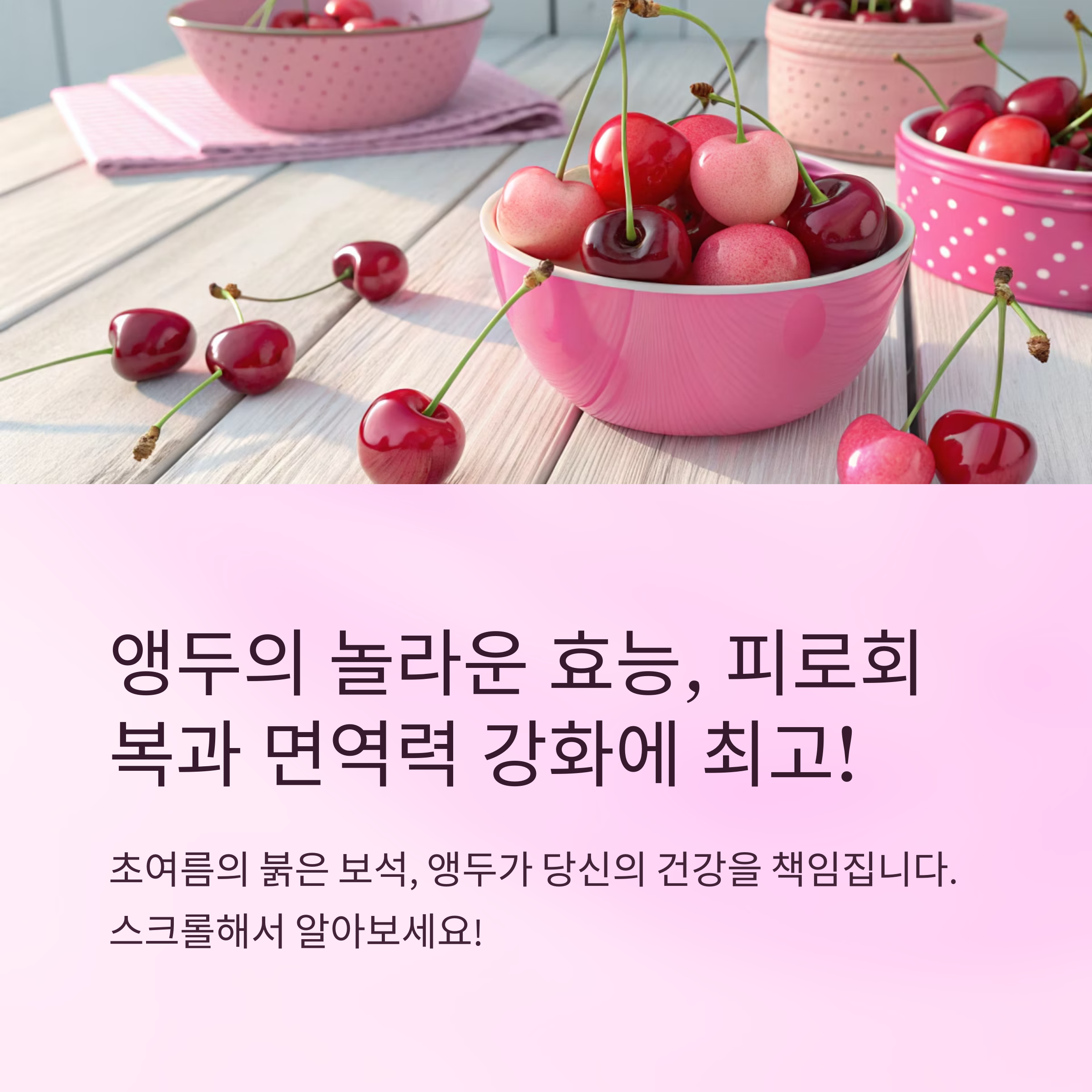 앵두효능 피로회복 면역력에 좋은 과일