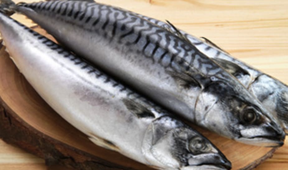 고등어 세마리가 도마 위에 올려져 있다