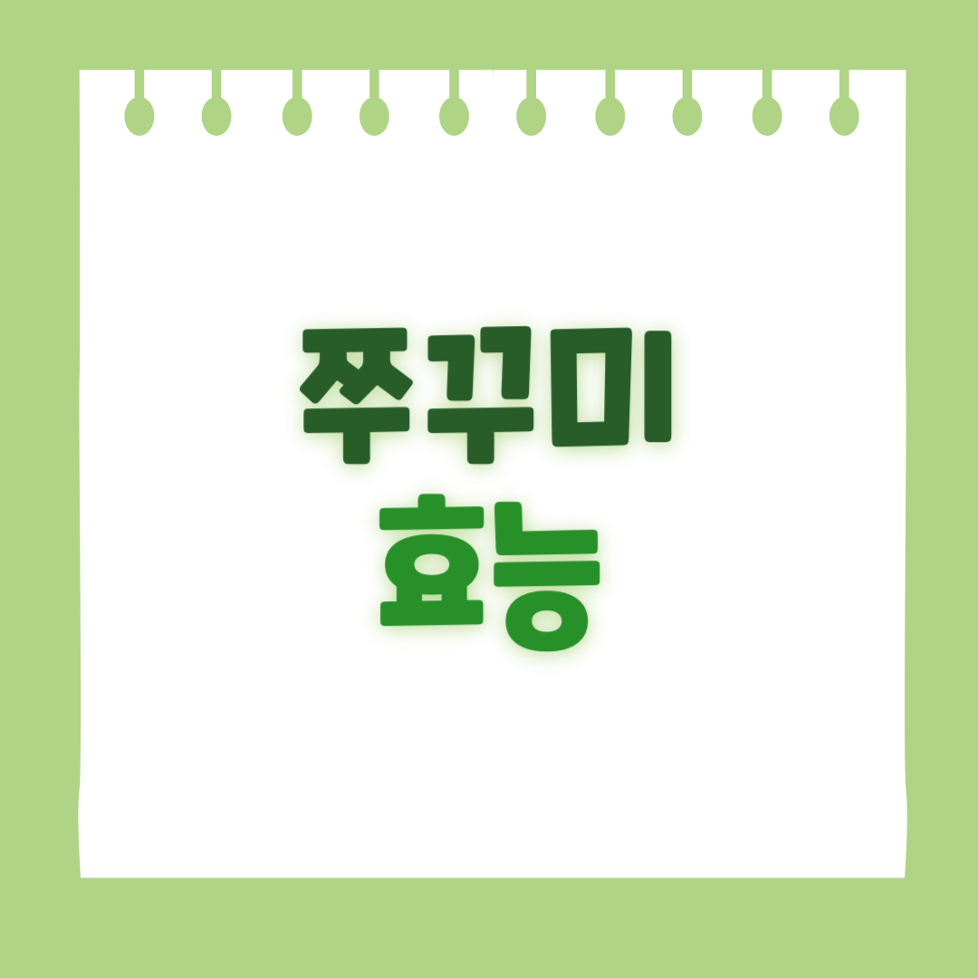 쭈꾸미 효능