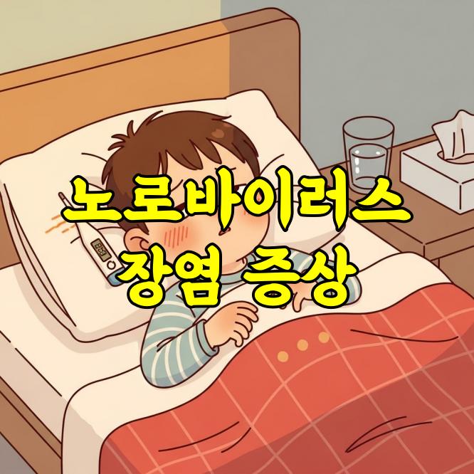 노로 바이러스 장염 증상