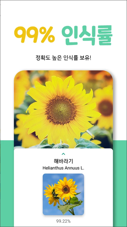 왓캠, 한국 꽃 이름 찾기