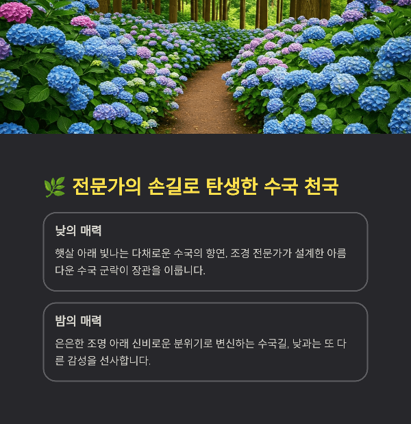 전문가의 손길로 탄생한 수국 천국