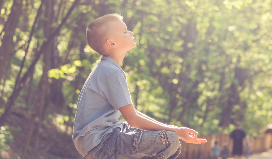 비타민D가 우리몸에서 하는 일