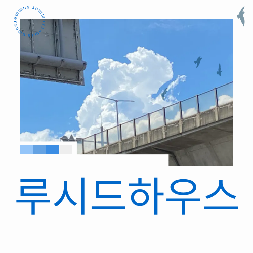 요즘 가장 많이 검색되는 카페, 루시드하우스를 아시나요?