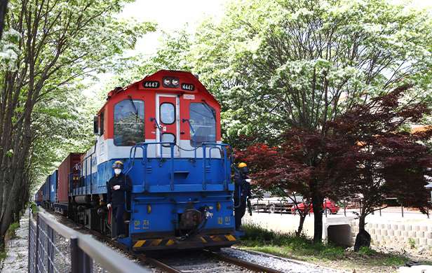 전주 이팝나무 축제