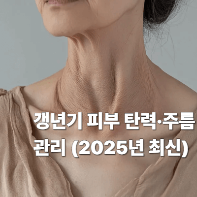 갱년기 피부 탄력·주름 관리 (2025년 최신)