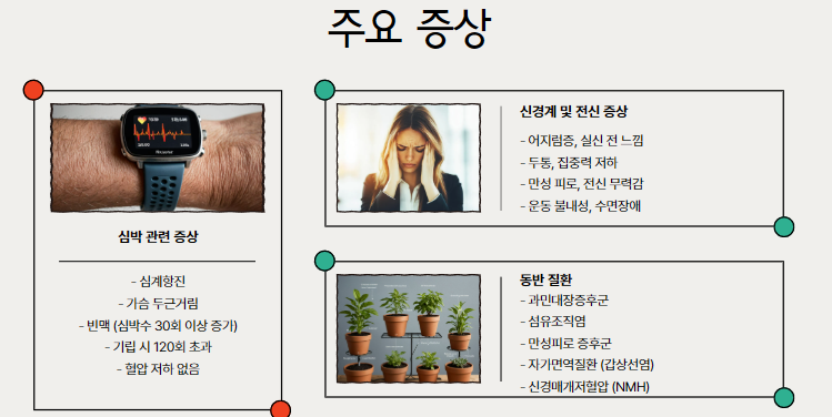 주요 증상