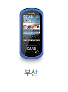 캐시비 부산버스