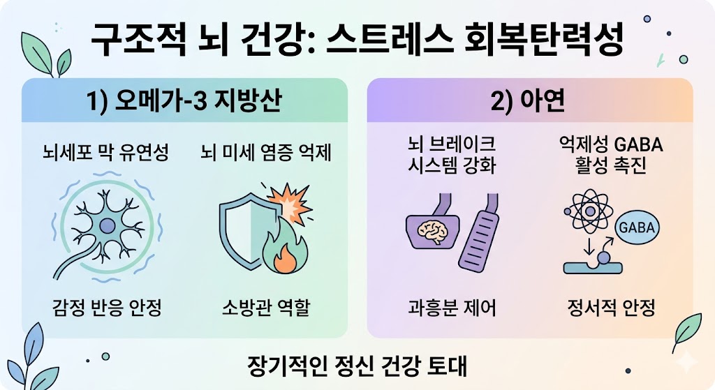 오메가-3와 아연이 뇌 회복탄력성을 높이는 기전을 보여줍니다. 오메가-3는 세포막 유연성과 염증 억제를 돕고 아연은 가바 활성으로 뇌 브레이크를 강화합니다. 정서 안정과 과흥분 제어로 장기적 정신 건강 토대가 구축되는 과정을 시각화했습니다.
