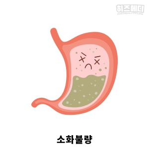 비타민 결핍 빈혈