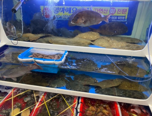 [6시 내고향] 군산수산물종합센터 꽃게&amp;#44; 갑오징어&amp;#44; 반건조박대&amp;#44; 참홍어&amp;#44; 돌돔&amp;#44; 비빔낙지&amp;#44; 2층 식당 정보