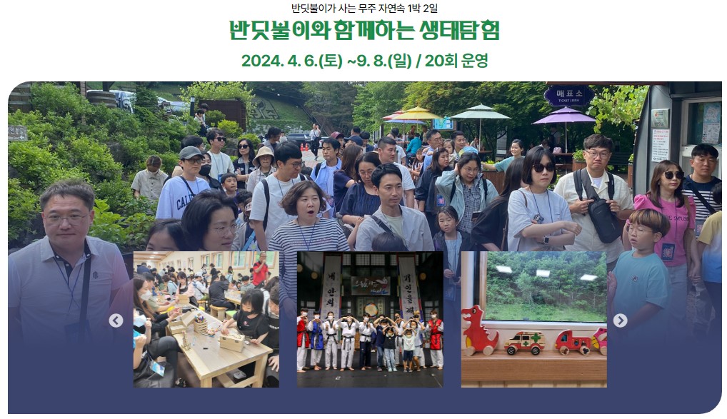 무주 반딧불축제