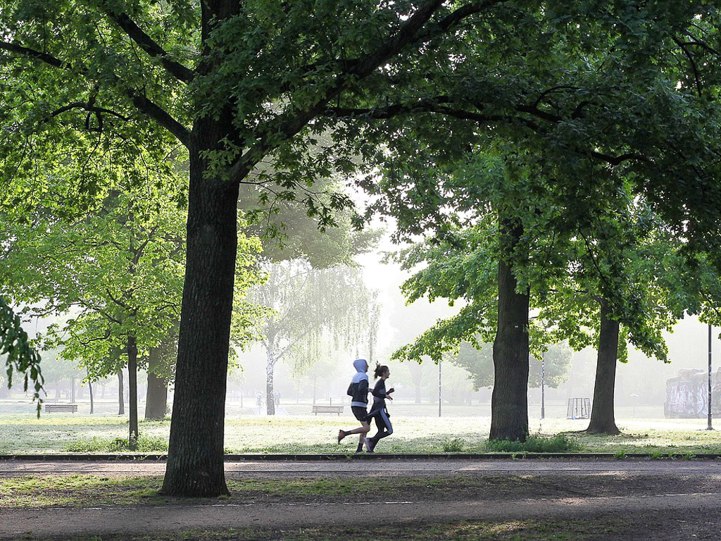 녹지가 우거진 공원에서 두사람이 조깅을 즐기고 있다.