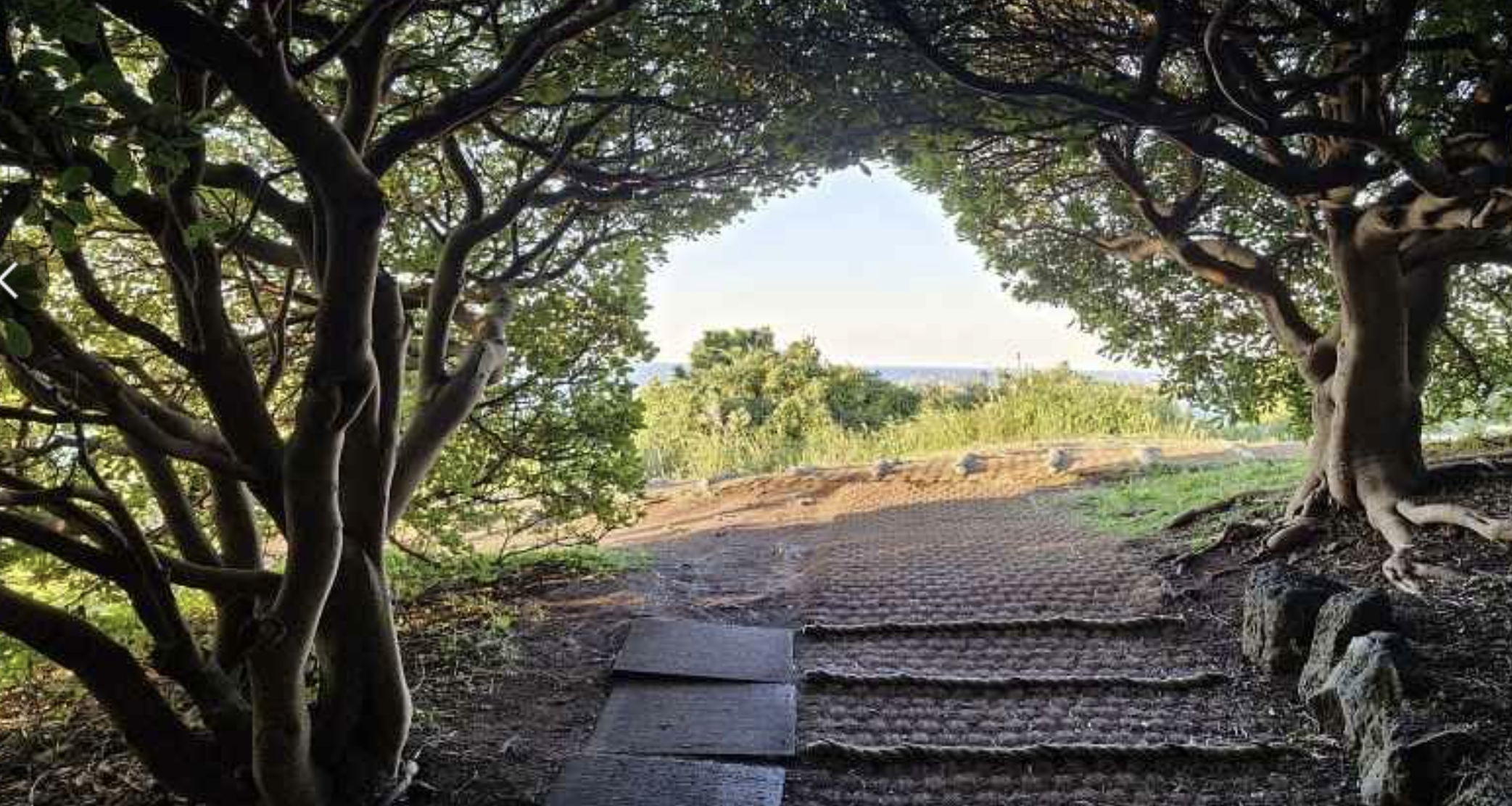 제주 도두붕&도두항
