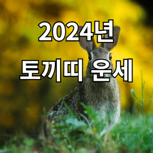 2024년 토끼띠 운세