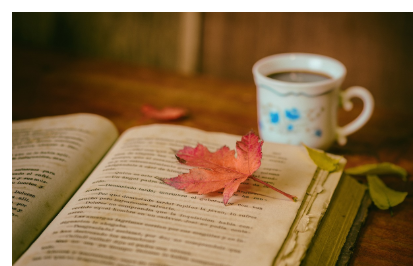 자기 계발을 위한 비용 절감 전략: 학습과 취미 생활에서 경제적으로 자원을 활용하는 방법